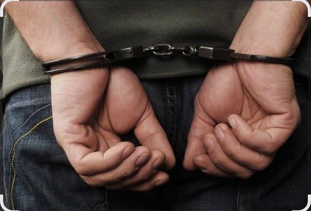 پاسخ سریع پلیس به ناامنی خیابانی در شیروان