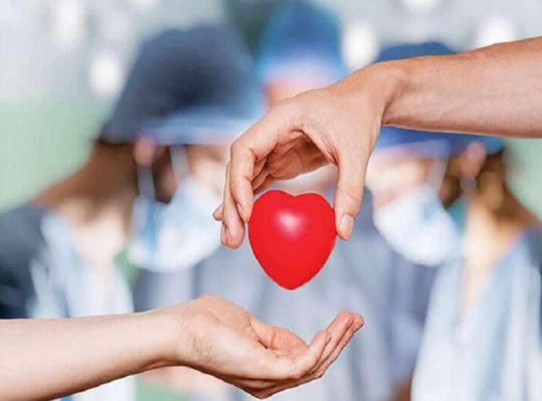 اهدای عضو در خراسان‌شمالی امسال به ۳۲ بیمار جان دوباره بخشید