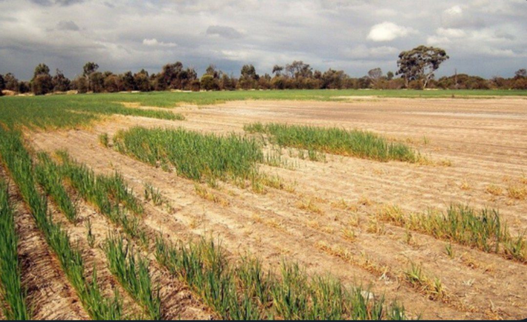 صدور سند برای ۵ هزار اراضی بایر در خراسان‌شمالی