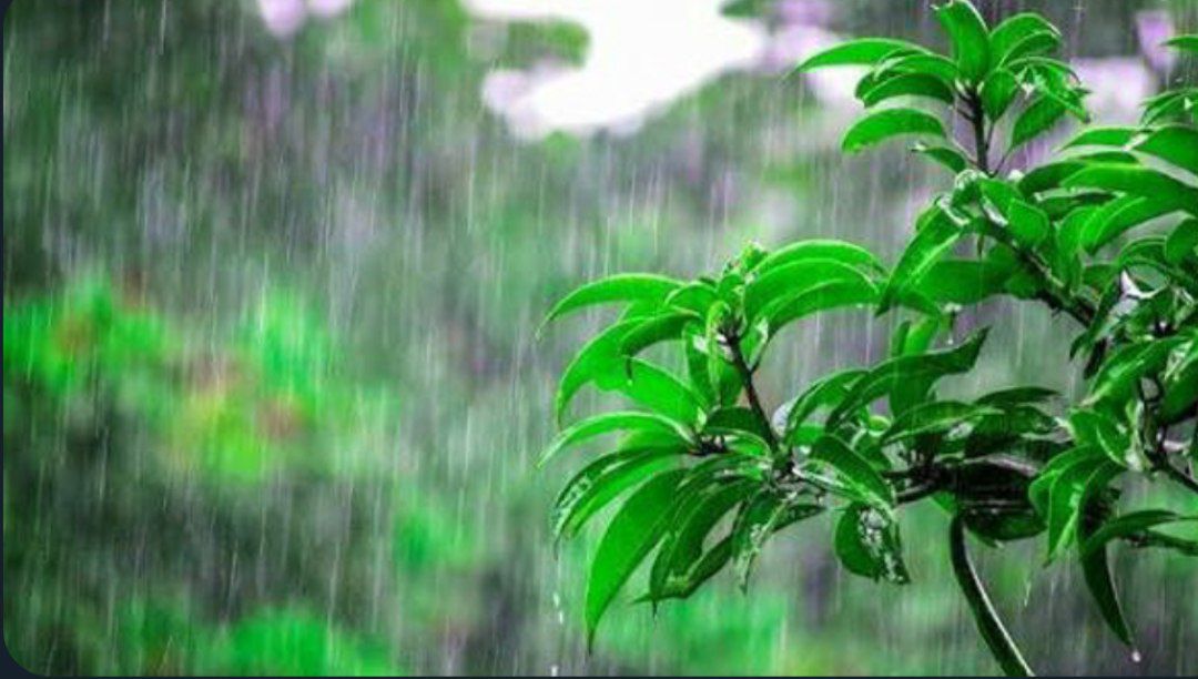 آغاز فعالیت سامانه بارشی در خراسان‌شمالی از فردا